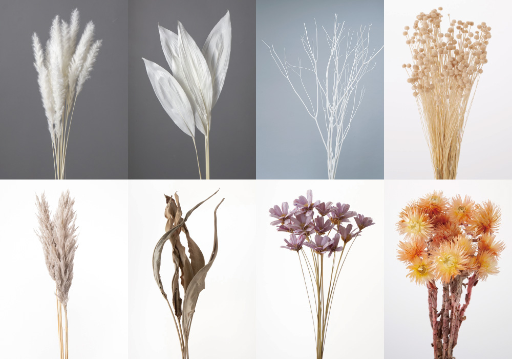 VARIOUS DRIED FLOWERS image06