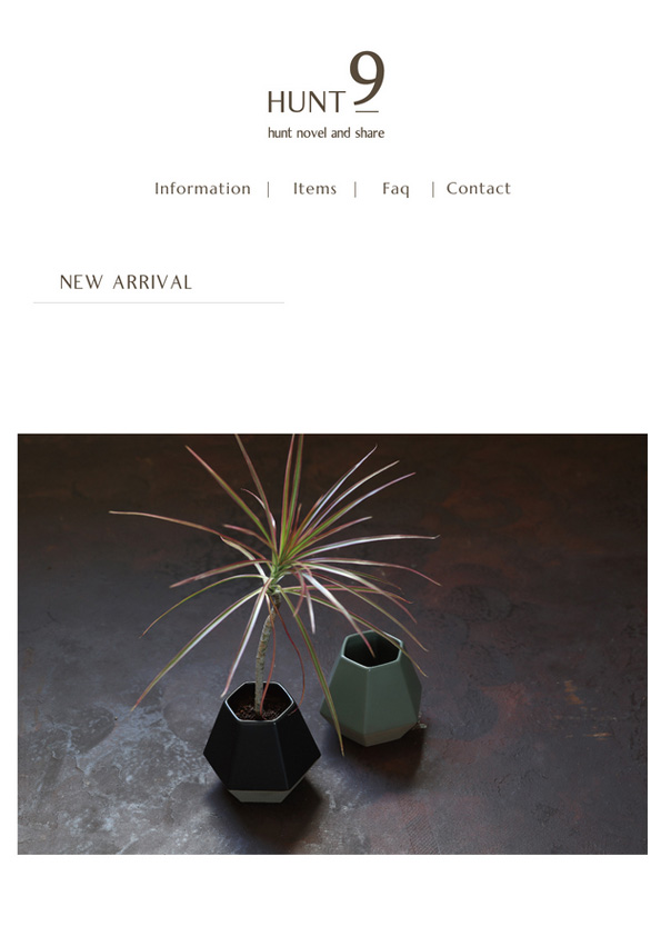 【新商品】Goya