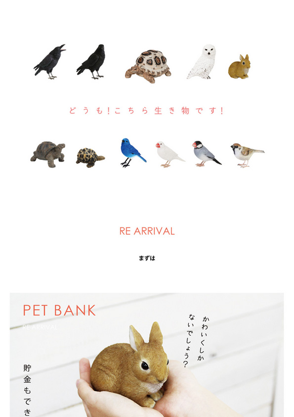 【再入荷】PET BANK ,BIRDIE BILL