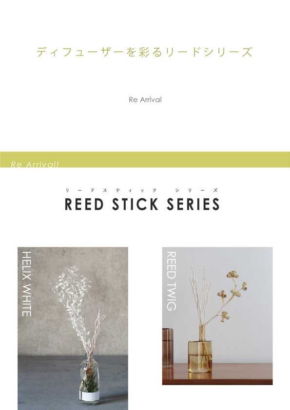 【再入荷】Reed Stick