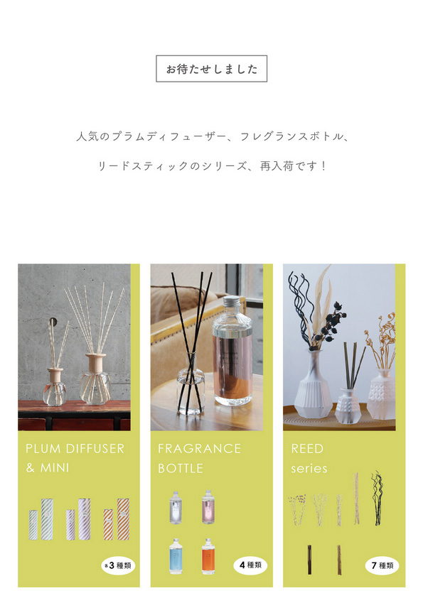 【再入荷】PLUM DIFFUSER, FRAGRANCE BOTTLE