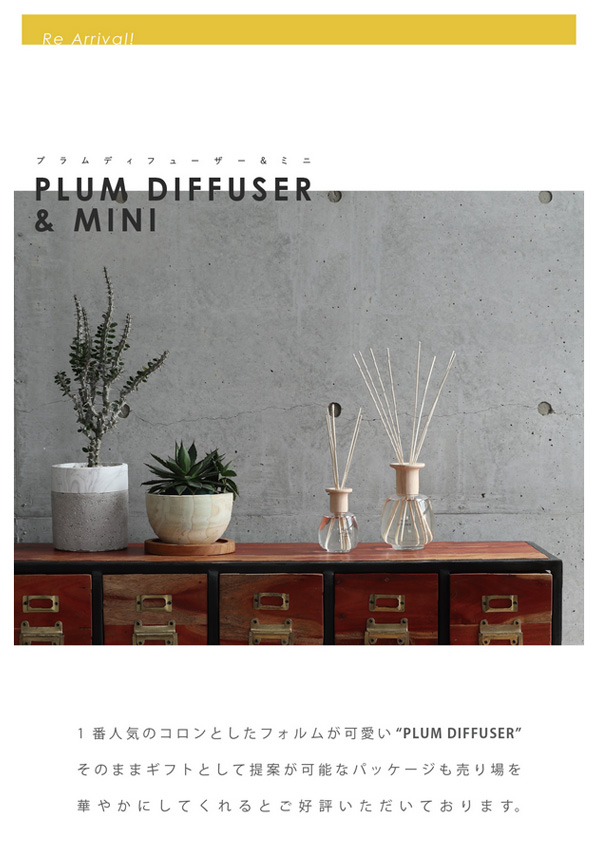 【再入荷】PLUM DIFFUSER, FRAGRANCE BOTTLE