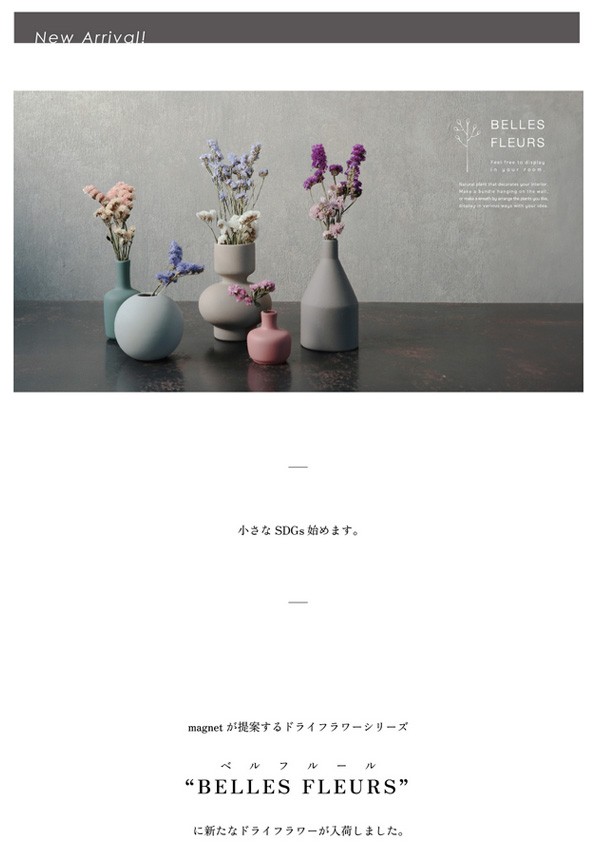 【新商品】SDGs collaboration Statice