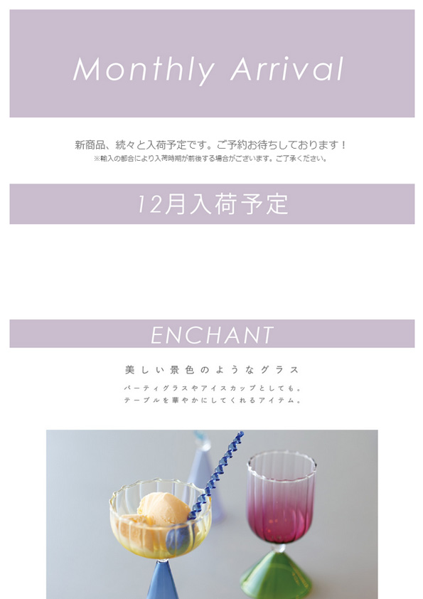 【入荷予定新商品】12月,2024年1月