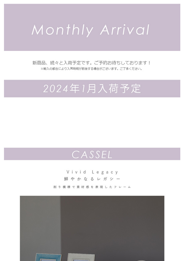 【入荷予定新商品】2024年1月