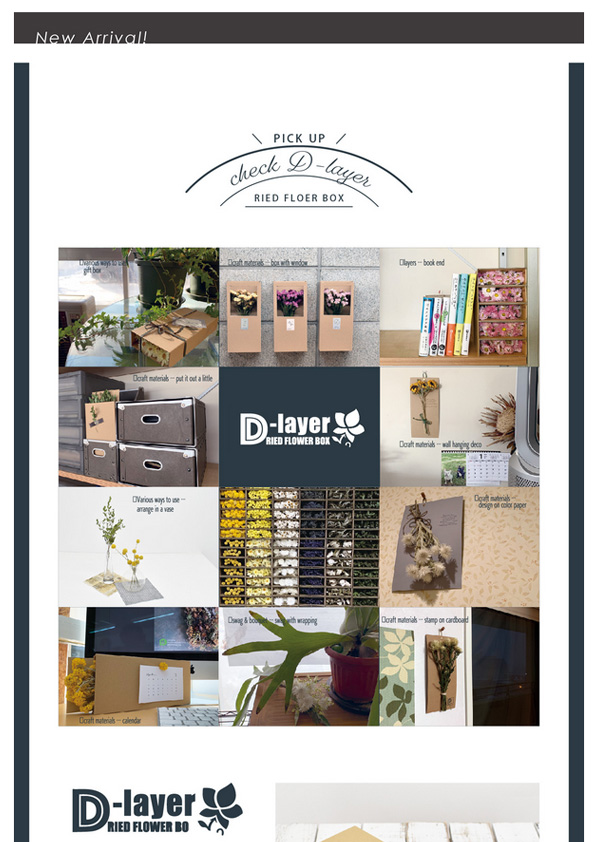 【新商品】D-layer