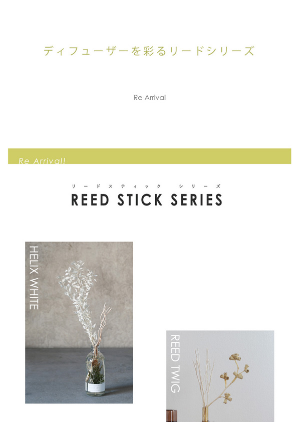 【再入荷】Reed Stick
