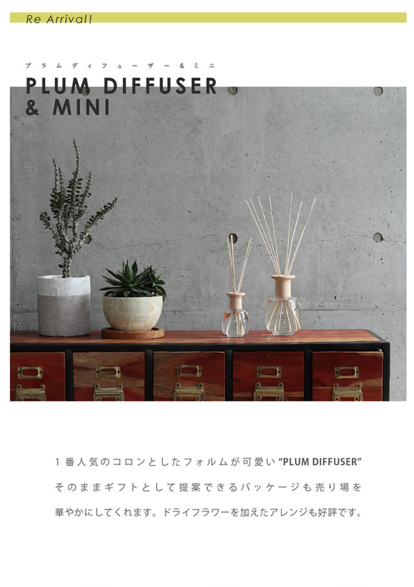 【再入荷】PLUM DIFFUSER, FRAGRANCE BOTTLE