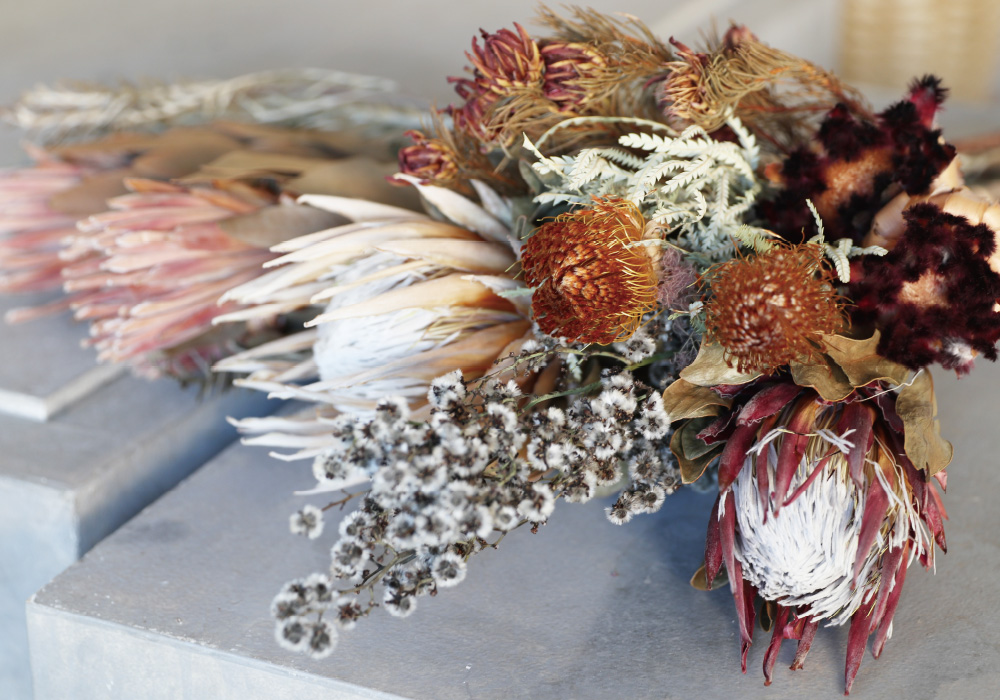 VARIOUS DRIED FLOWERS image02