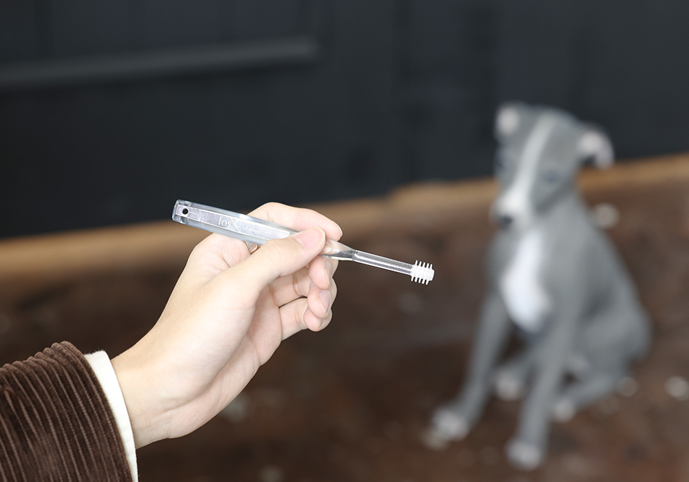 Alpha Brushのイメージ02