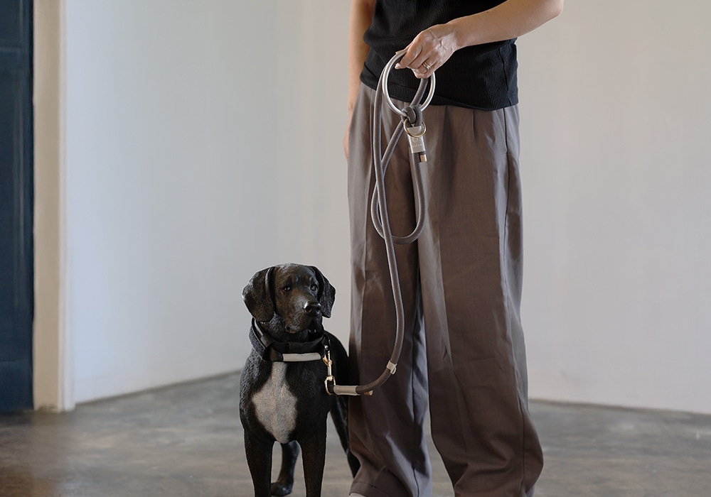 Eric Reelのイメージ