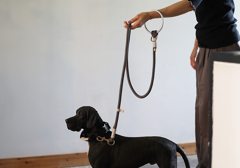 Eric Reelのイメージ02