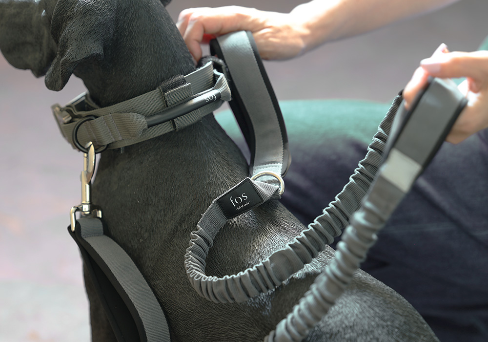 Noble Collar（ノーブルカラー）のイメージ02