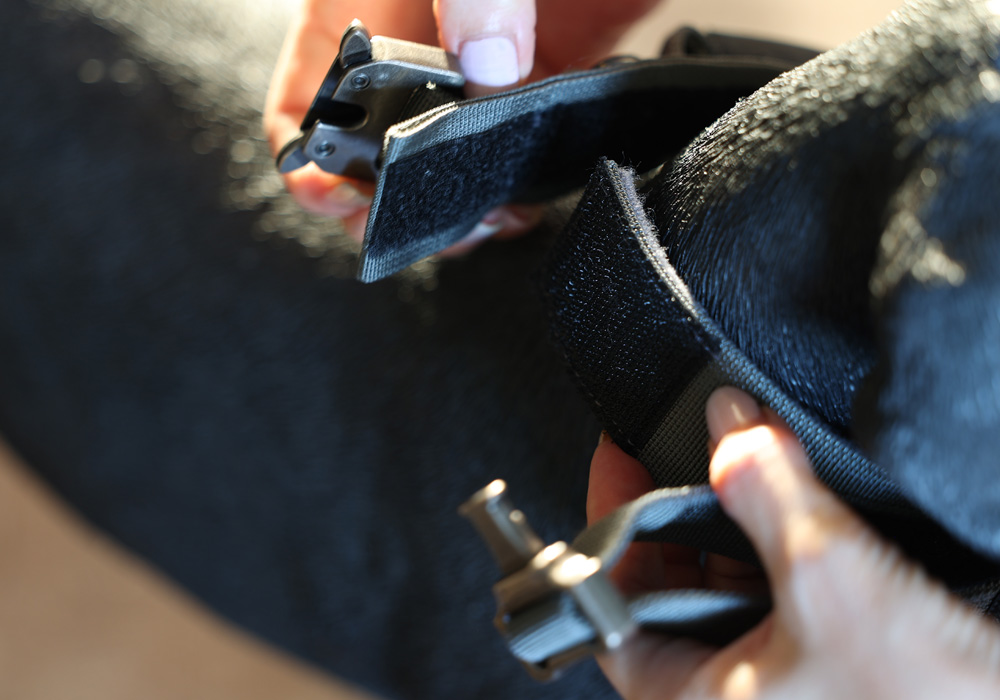 Noble Collar（ノーブルカラー）のイメージ03