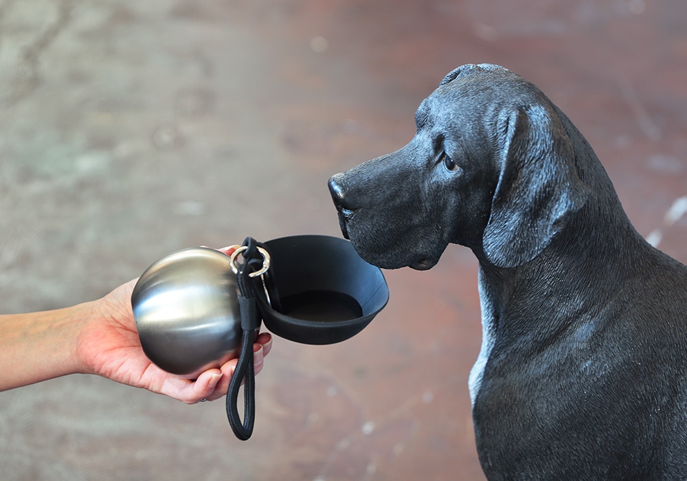 Orb Bottleのイメージ