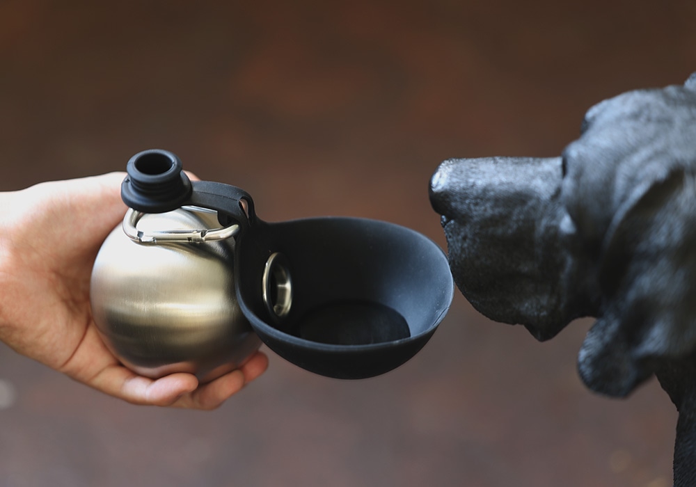 Orb Bottle（オーブボトル）のイメージ02