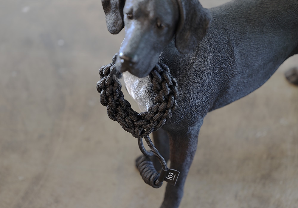 Tough Tugのイメージ