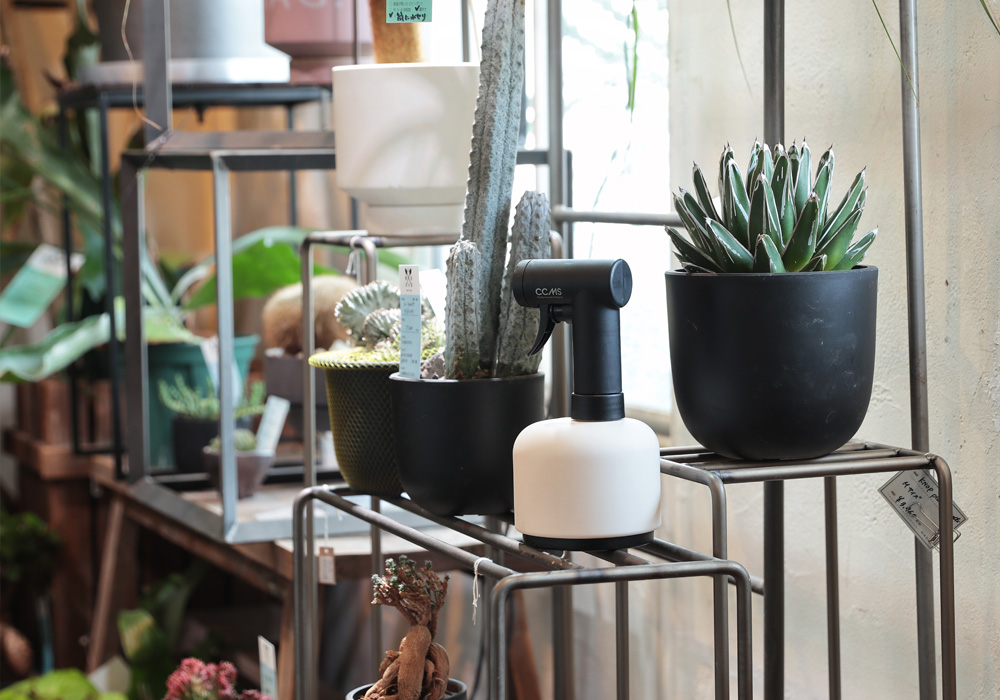 CCMSのイメージ02