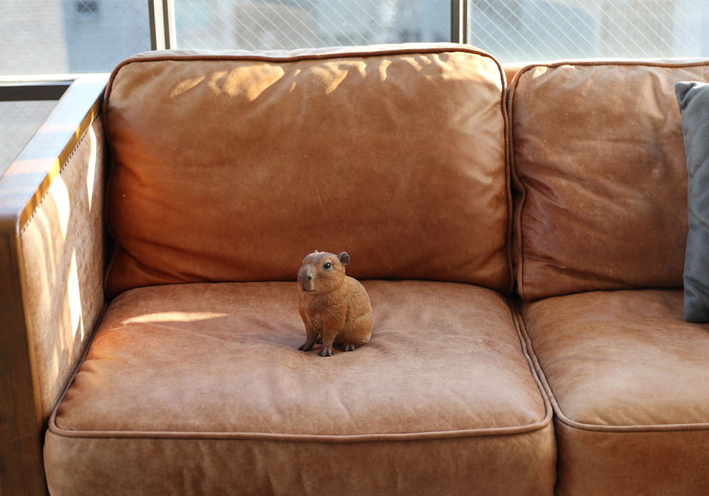 PET BANK CAPYBARAのイメージ01