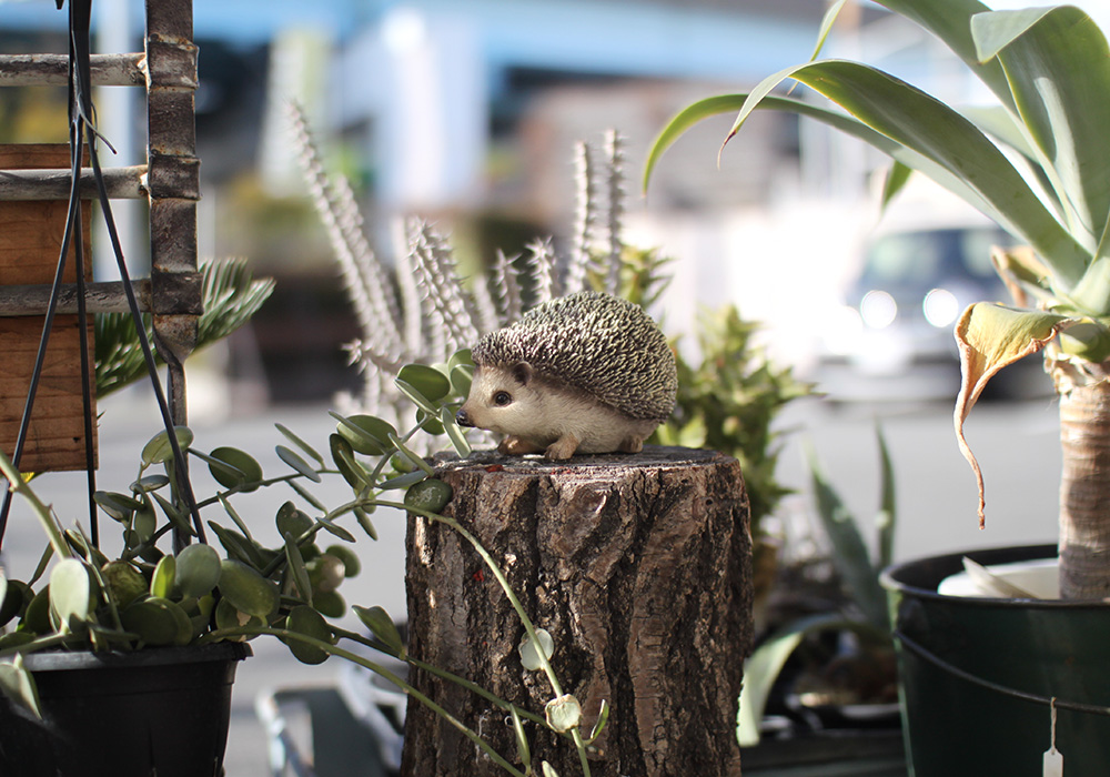 PET BANK HEDGEHOGのイメージ01
