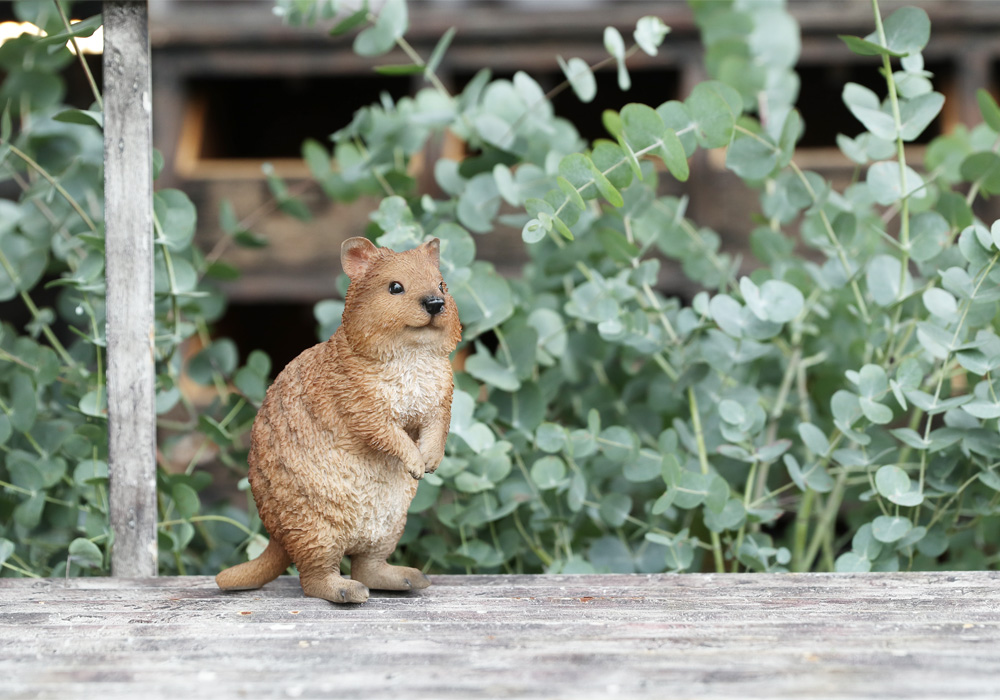 PET BANK QUOKKAのイメージ01