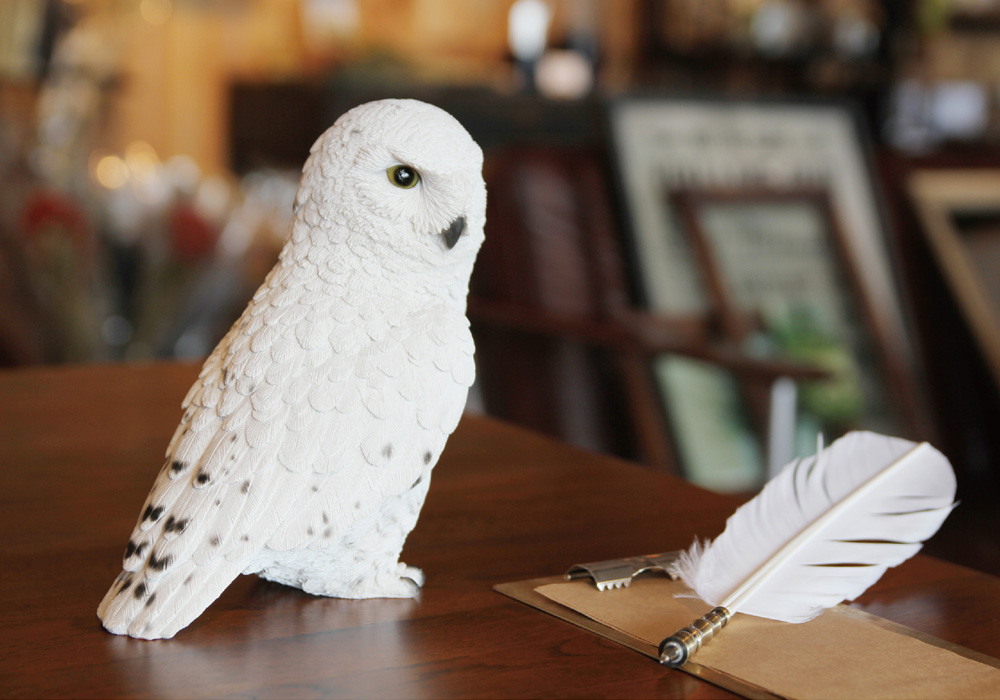 PET BANK SNOWY OWLのイメージ01