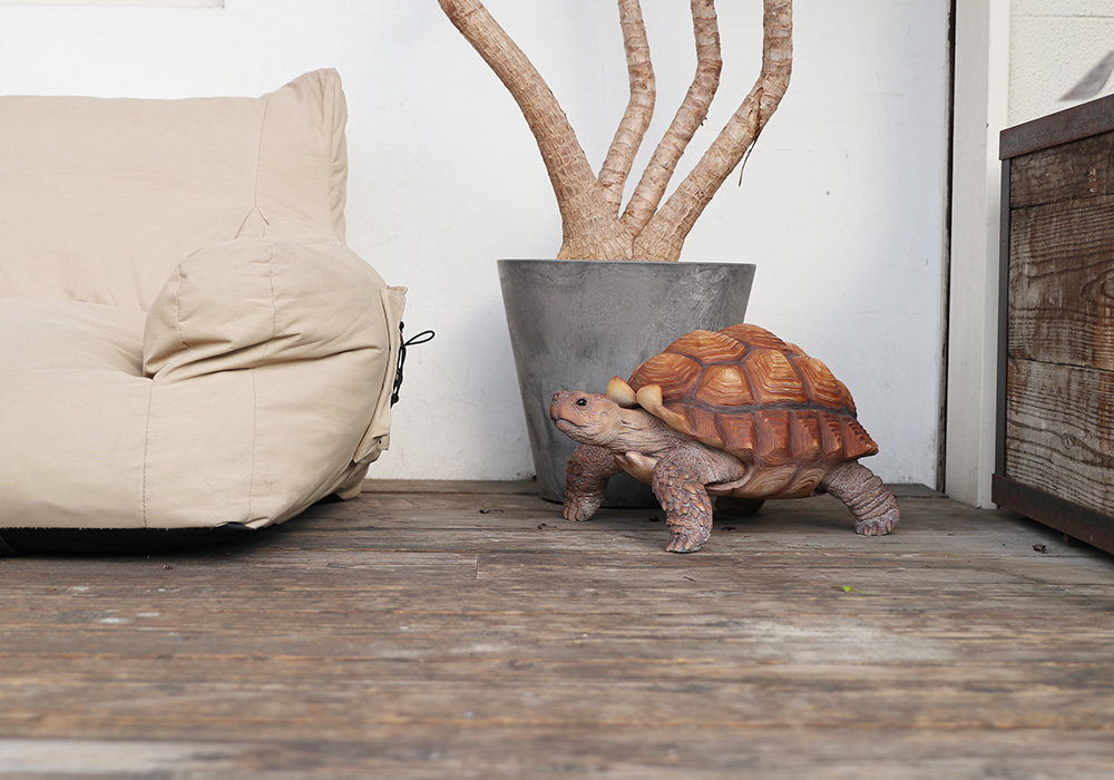 PET BANK SPURRED TORTOISE MOMのイメージ01