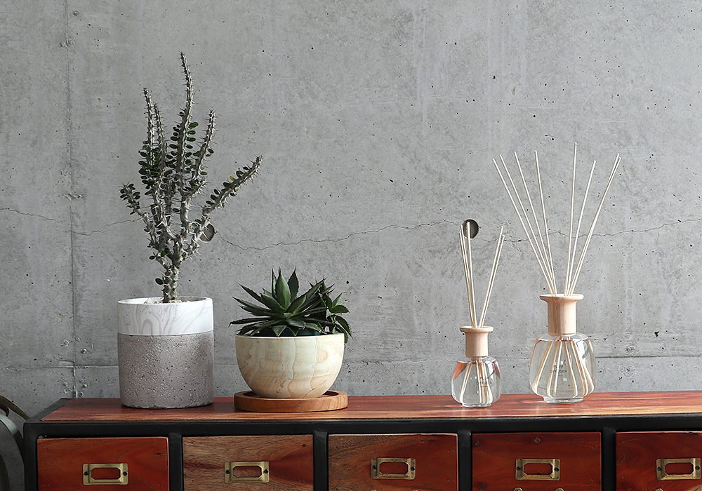 PLUM DIFFUSERのイメージ04