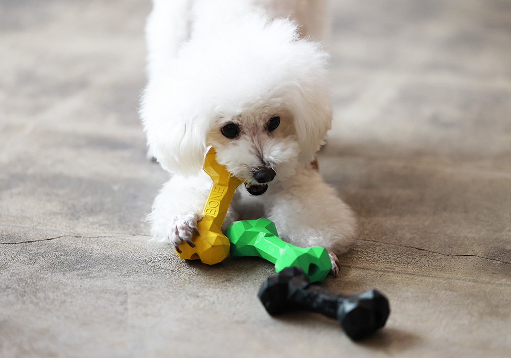 BONE BONE BONEのイメージ01