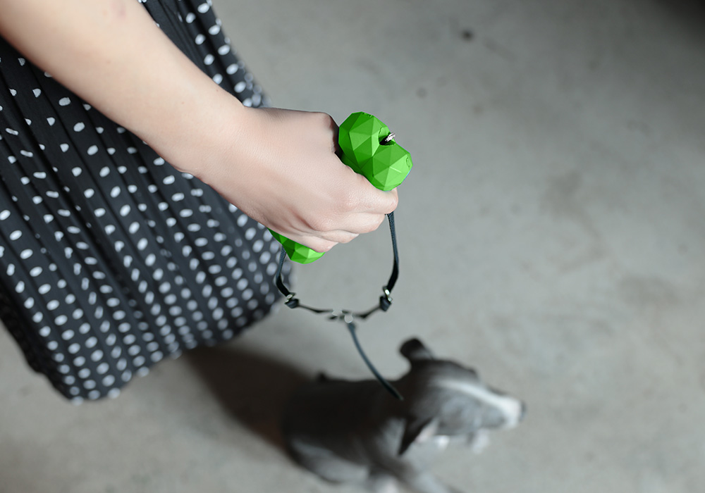 BONE BONE BONEのイメージ07