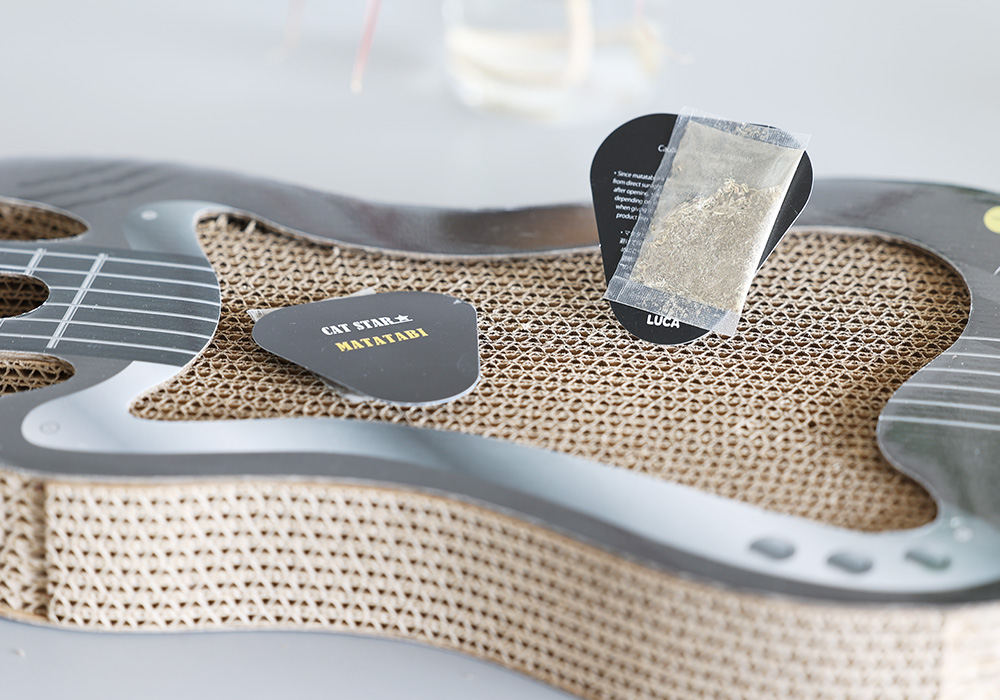 CAT STAR★のイメージ08