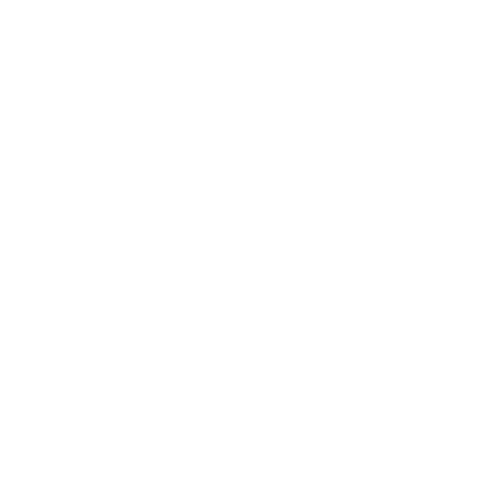 magnet Inc.